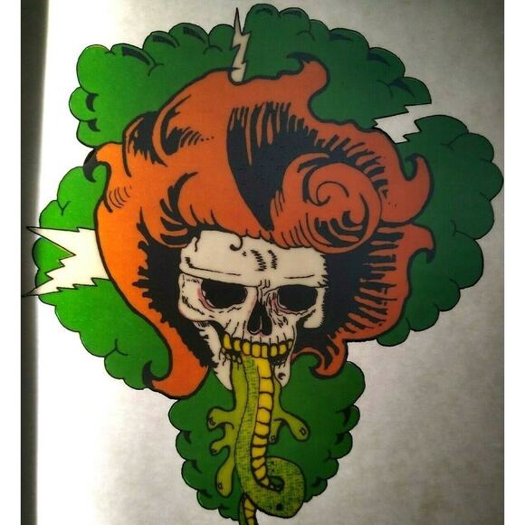 Grateful Dead Car Window Decal Orange Haired Skull Head Lightning Bolts Snake - Picture 1 of 5